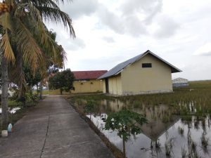 Read more about the article Sandiwara’ Pura pura untuk Pembenihan”Diduga Sembilan Ton Padi Milik BBI Kecamatan Palas Dipertanyakan
