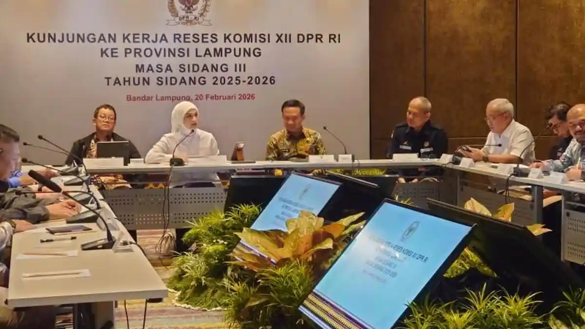 Read more about the article Komisi XII DPR RI Tinjau Energi Lampung, Survei Seismik 2D Pertamina EP Target 688,5 Km