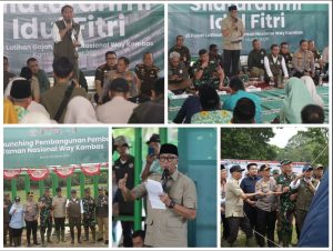 Read more about the article Pemerintah Bangun Pembatas 138 Km di Way Kambas, Solusi Permanen Konflik Gajah dan Manusia