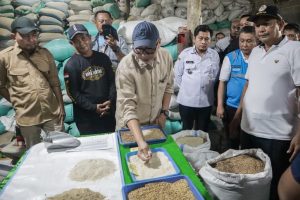 Read more about the article Bed Dryer Beroperasi di Rawa Jitu Selatan, Dorong Hilirisasi Pertanian dan Kesejahteraan Petani di Tulang Bawang