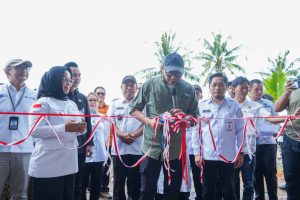Read more about the article Pemprov Lampung Dorong Kebangkitan Pertanian Mesuji Melalui Teknologi dan Inovasi