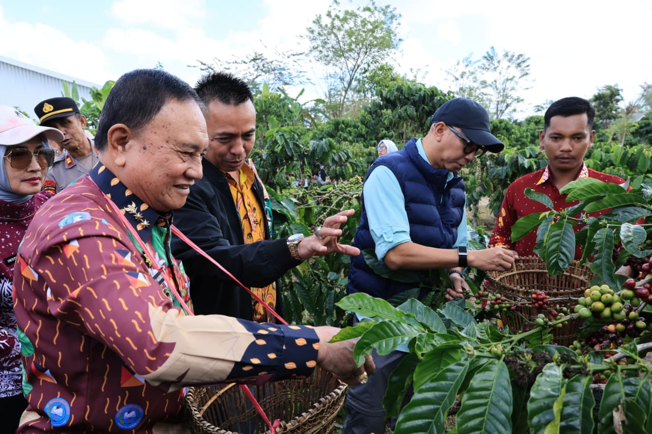 Read more about the article PHC Ubah Wajah Perkebunan Kopi Lampung, Gubernur Mirza Dorong Produktivitas Kopi Meningkat
