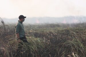 Read more about the article Gubernur Mirza Pastikan Penanganan Kebakaran di Braja Harjosari Terkendali, Tim Gabungan Cegah Api Masuk TN Way Kambas