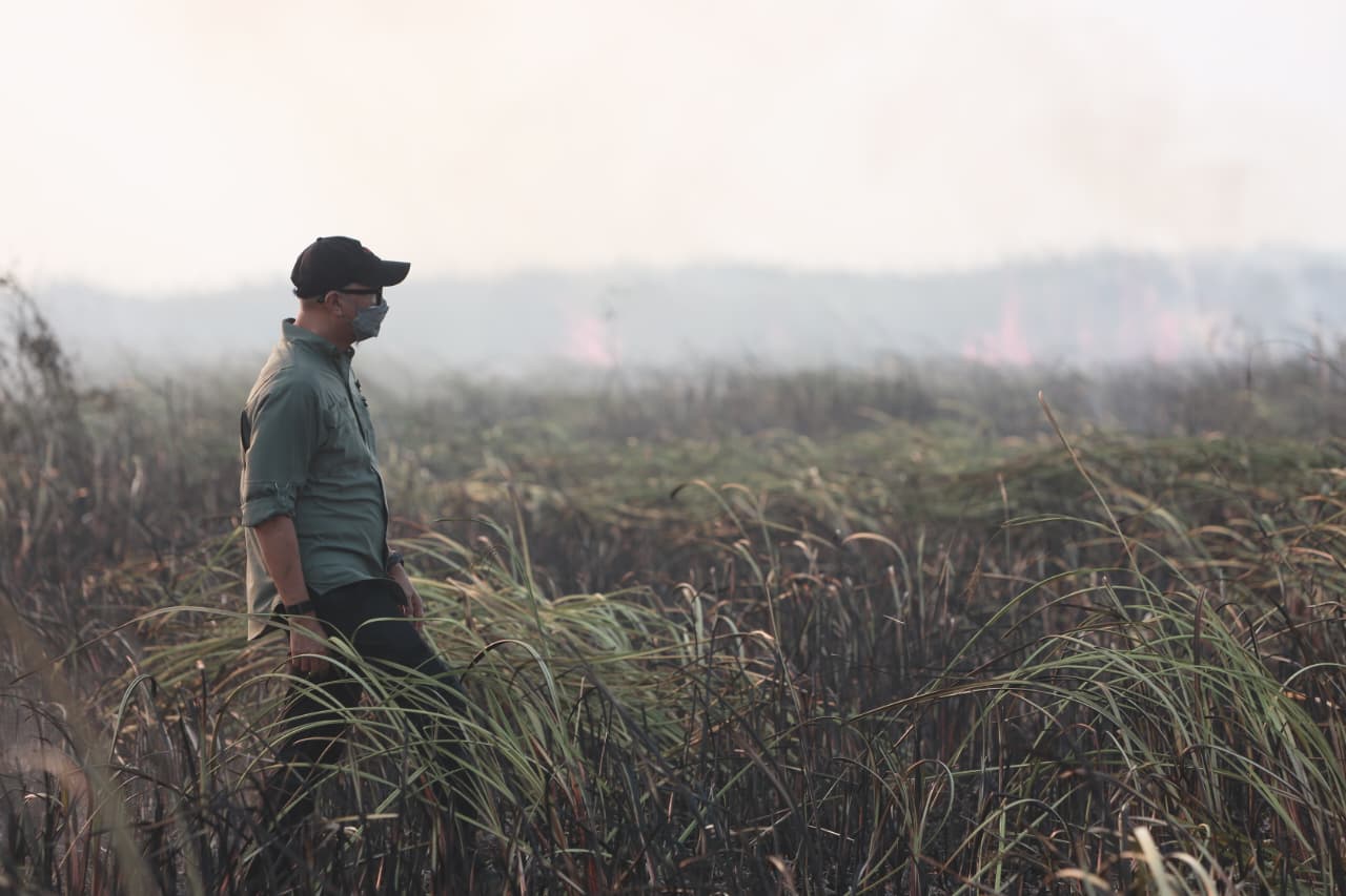 Read more about the article Gubernur Mirza Pastikan Penanganan Kebakaran di Braja Harjosari Terkendali, Tim Gabungan Cegah Api Masuk TN Way Kambas