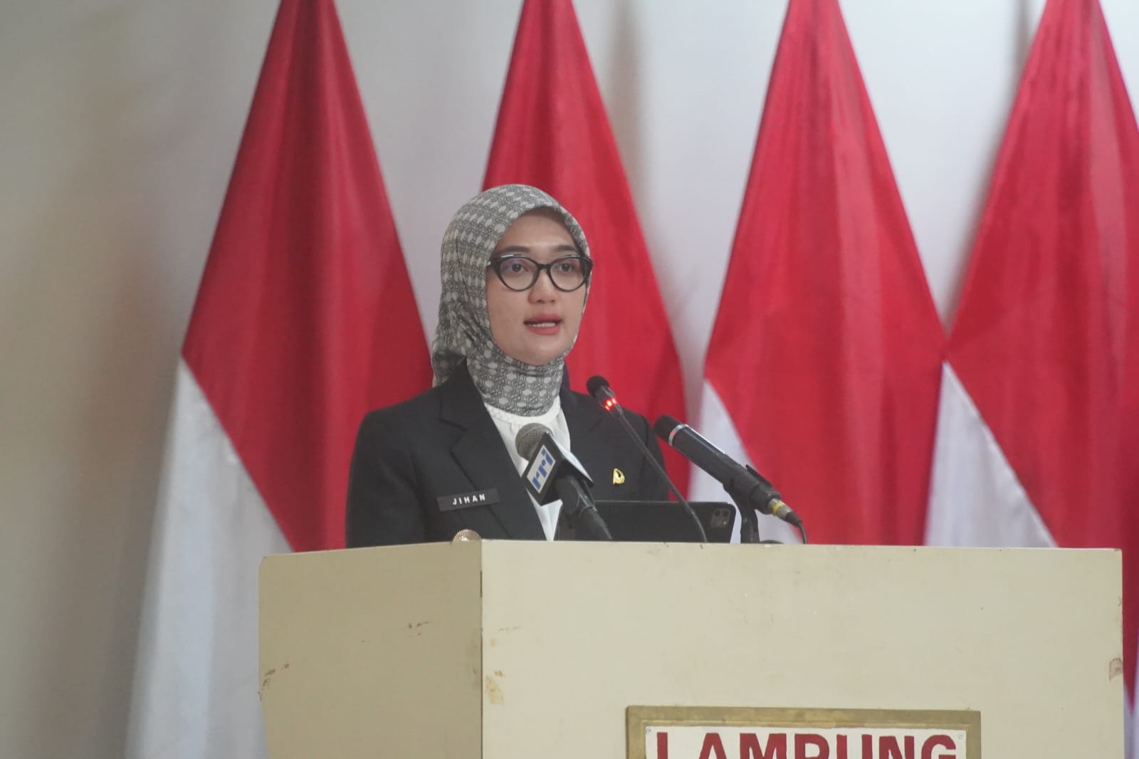 Read more about the article Pemprov Lampung Ajukan Dua Raperda, Tarif RS dan Penguatan Inovasi